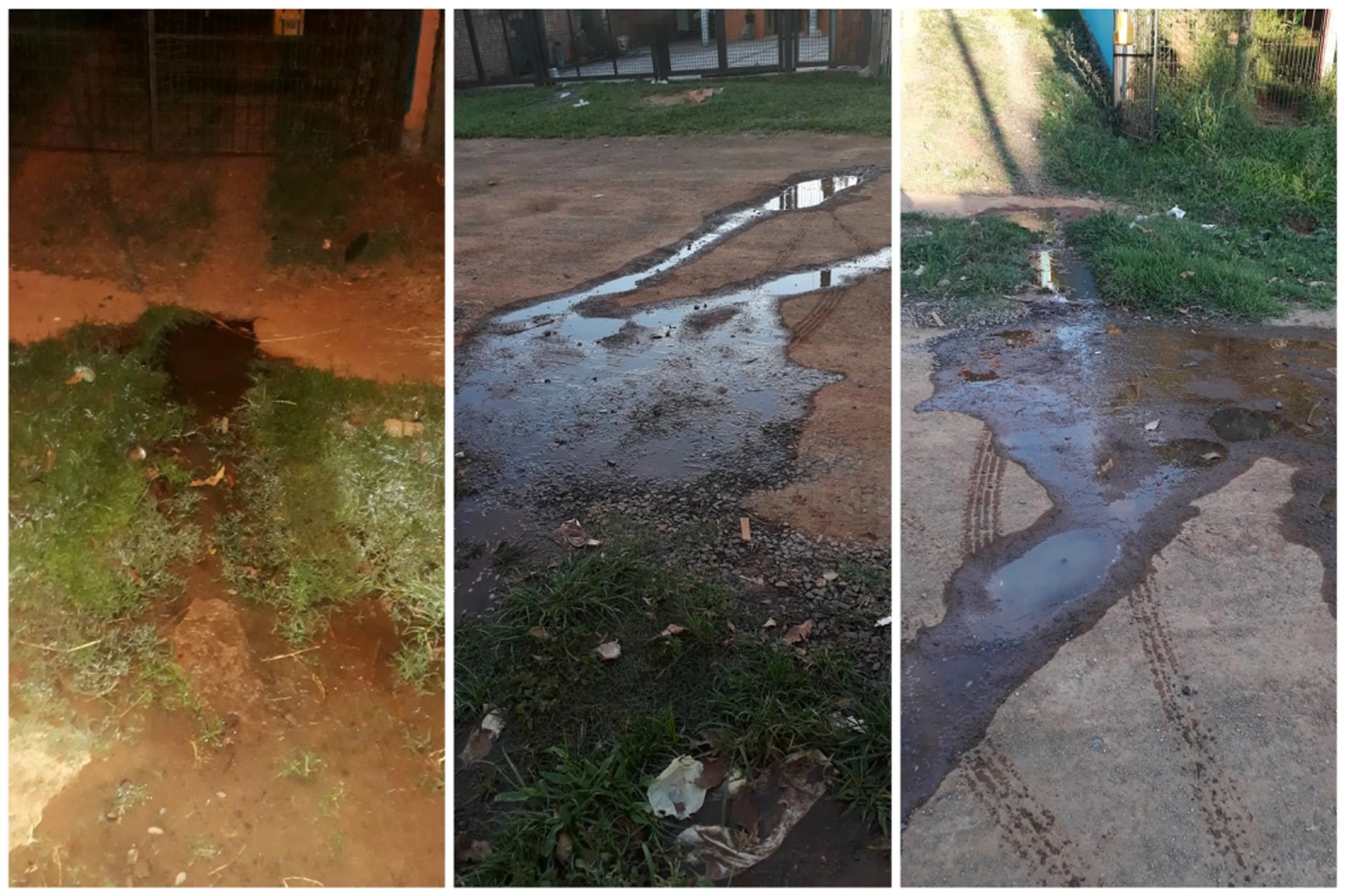LeitorDG/Arquivo Pessoal