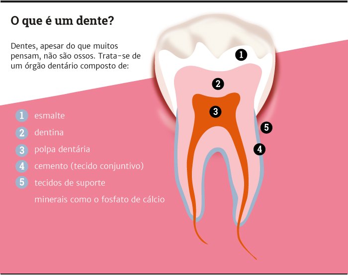 Featured image of post Imagens De Um Dente : Toda a criação para um projeto é sempre um desafio.