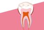 Como nascem os dentes
