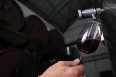  CAXIAS DO SUL, RS, BRASIL 18/05/2017Dia do Vinho 2017: diversidade de atrações marcam calendário do evento. mais de 200 ações realizadas de 19 de maio a 4 de junho, no Rio Grande do Sul, São Paulo, Bahia e Pernambuco em comemoração ao dia. Fotos feitas na vinícola Zanrosso em Caxias do Sul, com o vitivinicultor Celso Luís Zanrosso. (Felipe Nyland/Agência RBS)