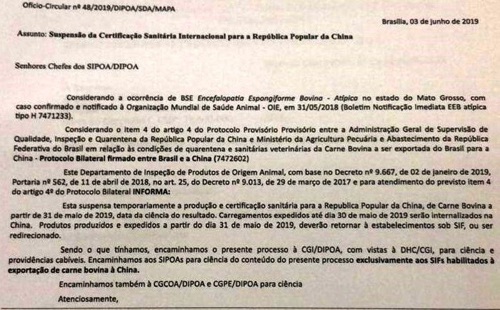 Reprodução Reprodução