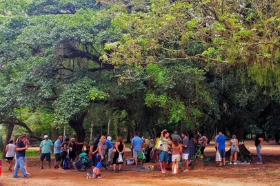 Encontro de troca de mudas na Redenção