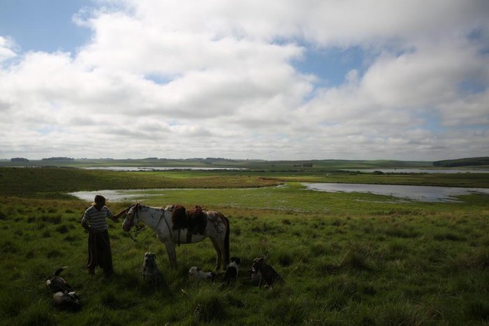 Tadeu Vilani / Agencia RBS