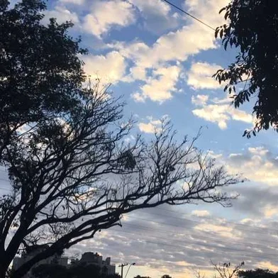 tempo