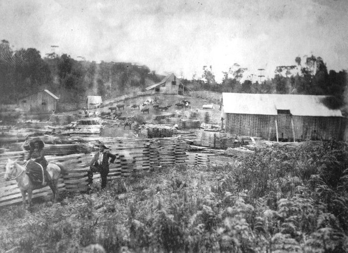 Rodolfo Balzaretti / Acervo Arquivo Histórico Municipal João Spadari Adami, divulgação
