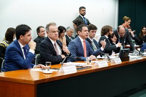 Pablo Valadares / Câmara dos Deputados