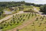 Olivas de Gramado é uma nova atração na serra gaúcha