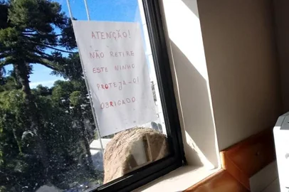 Casinha de joão-de-barro preservada em janela da sala do promotor Adrio Gelatti, no prédio do Ministério Público. Promotor colou cartaz em que pede cuidado com a casinha.