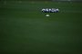  PORTO ALEGRE, RS, BRASIL, 20/06/2019- Uruguai x Japão, jogo válido pela Copa América. Na foto- bolas no gramado.  (FOTOGRAFO: JEFFERSON BOTEGA / AGENCIA RBS)