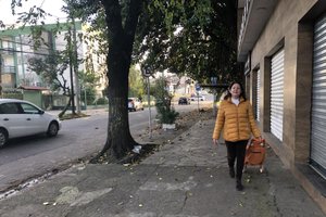 Aline  Custódio / Agência RBS