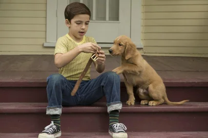 filme Quatro Vidas de Um Cachorro