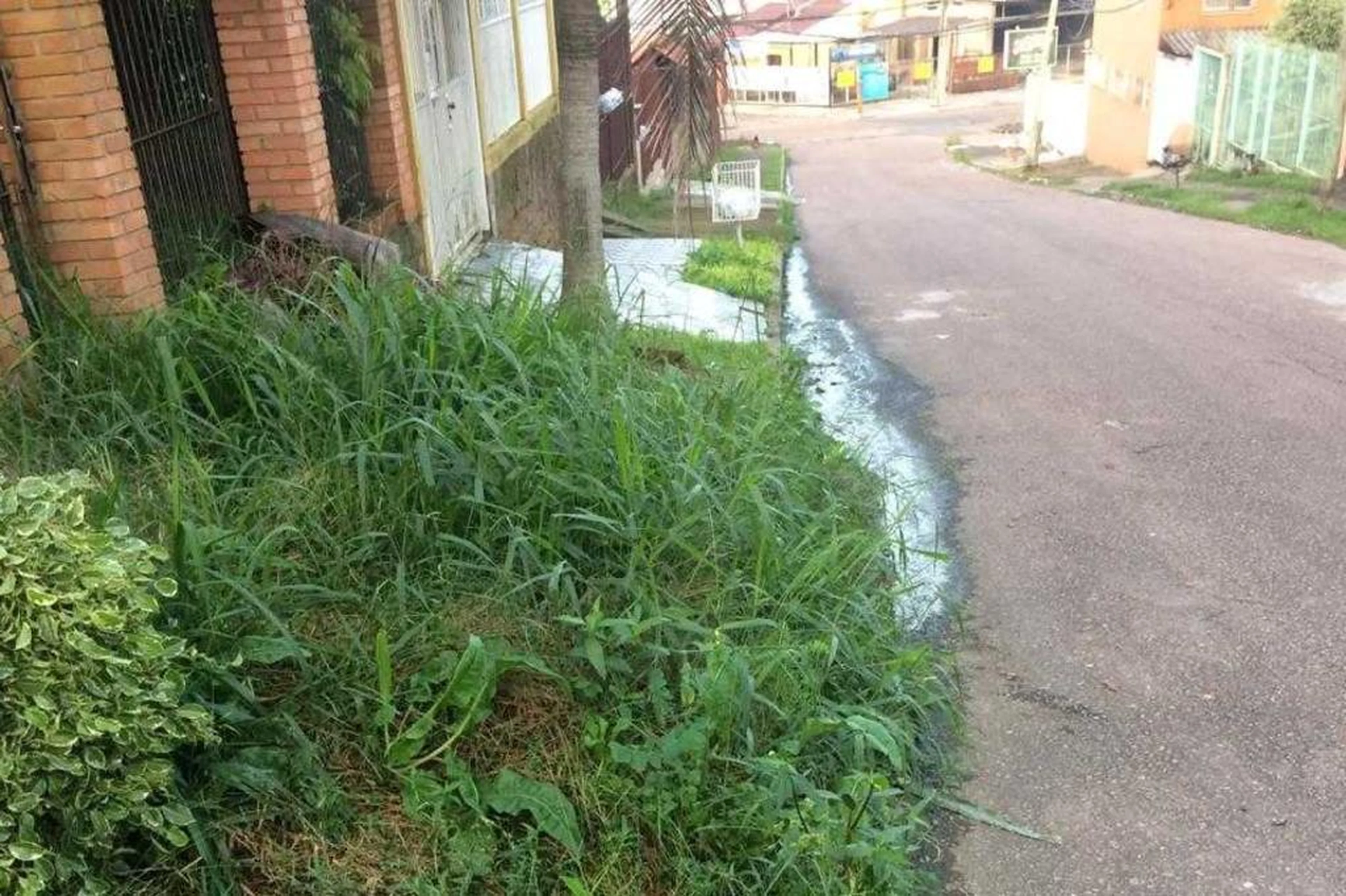Arquivo Pessoal/Arquivo Pessoal