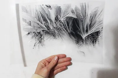 Abertura da exposição CRUA e NUA, da fotógrafa Júlia Pellizzari. Dia 27 de junho, a partir das 19h. A visitação segue até o dia 7 de agosto. O Reffugio Art Café fica aberto de segunda a sábado, das 15h30min às 21h.Curadoria: Rafael DambrosRealização: Núcleo de Arte Unificada (NAU)