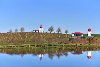Vinícola Família Lemos de Almeida de Muitos Capões tem réplicas da Ilha dos Açores