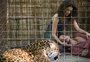 "O Escolhido": nova série brasileira da Netflix mostra embate entre a fé e a medicina no Pantanal