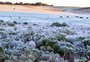 Como ocorre a formação de neve e geada? Entenda os fenômenos previstos para o RS