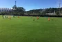 Odair esboça Inter com Patrick no lugar de D'Alessandro entre os titulares