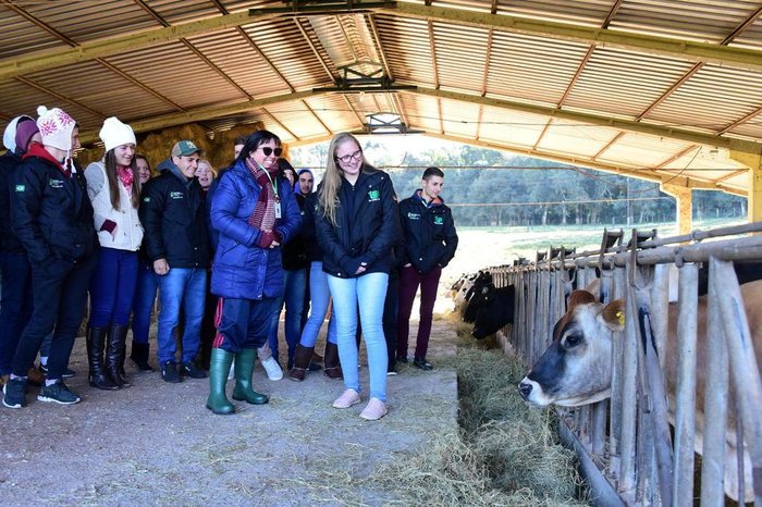 Diogo Zanatta / Especial