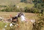 Caminhão tomba e deixa um morto e um ferido na RS-431, em Bento Gonçalves