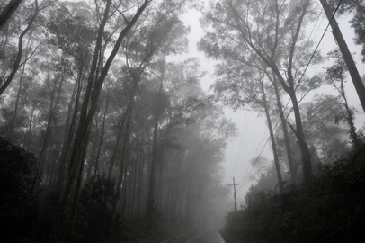  CAXIAS DO SUL, RS, BRASIL, 15/07/2019Os dias devem ser gelados no começo desta semana em todo o território gaúcho, conforme informações da Somar Meteorologia. Uma massa de ar polar chegou ao Rio Grande do Sul neste domingo (14) e deve derrubar as temperaturas. Mesmo assim, o frio não será tão intenso quanto o registrado no início deste mês. Imagens da linha 40 em Caxias do Sul(Lucas Amorelli/Agência RBS)