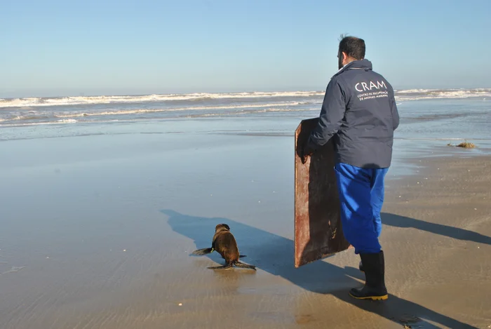 Cristine Alves / Divulgação