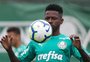 Ramires é relacionado pelo Palmeiras e pode estar entre os reservas contra o Inter