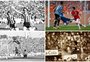 Meu Gol Inesquecível em Gre-Nal: artistas escolhem seus gols favoritos nos 110 anos de história do clássico