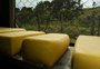 Selo permitirá venda de produtos artesanais do RS em todo o Brasil 