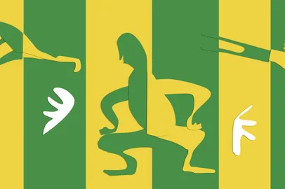 Ilustra da central do PrOA sobre os motivos que levaram à profunda polarização nas eleições do segundo turno.