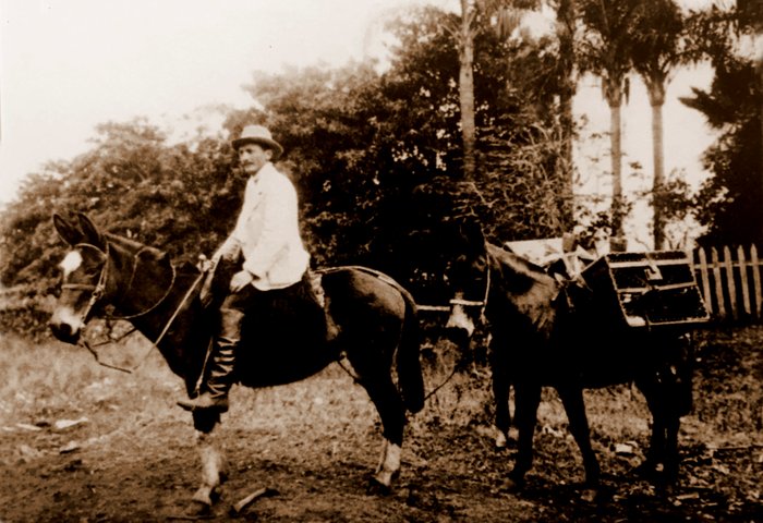 Reprodução