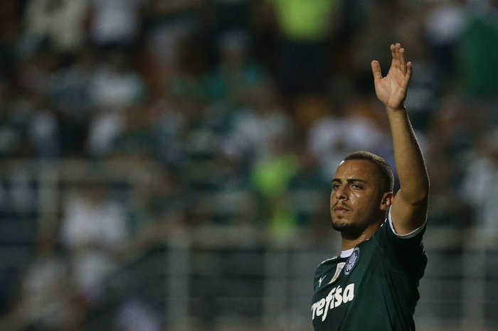 Palmeiras / Divulgação