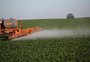 Dados da exportação do agro no RS: além dos números