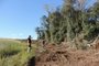  Operação resulta em quase R$ 1 milhão por desmatamento ilegal no RS