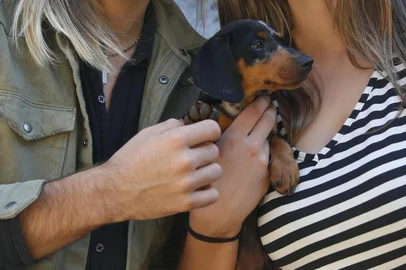  PORTO ALEGRE, RS, BRASIL - 2019.08.06 - Após campanha na internet, João Ignácio Montano Coelho consegui um cão para Nathália do Nascimento Scur, que havia perdido seu linguicinha em um atropelamento. O nome do cachorro é Ignácio(Foto: ANDRÉ ÁVILA/ Agência RBS)