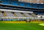 Em bom estado, gramado da Arena passará por maratona de jogos do Grêmio