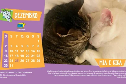 Calendário da Soama 2018