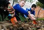 Alunos aprendem sobre meio ambiente e sustentabilidade por meio do trabalho em hortas 