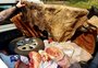 Homem e mulher são presos com 250 quilos de carne roubada na Fronteira Oeste