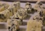 Você reconhece o queijo que come? Atração na Expointer terá degustação às cegas