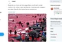Imagem de matança de baleias não foi capturada na Noruega