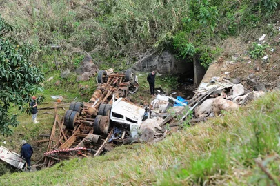  FARROUPILHA, RS, BRASIL, 23/08/2019. Um caminhão carregado de bovinos saiu da pista e capotou em Farroupilha no início da manhã desta sexta-feira (23), por volta das 9h. O acidente aconteceu no km 46 da ERS 122, trecho perto do local conhecido como Curva da Morte. De acordo com informações do Grupo Rodoviário, 10 animais morreram e três sobreviveram, mas estão gravemente feridos. O motorista do caminhão, que estava sozinho no veículo, sofreu lesões leves. O trânsito na rodovia está liberado e é acompanhado por policiais rodoviários. O caminhão que capotou é um Mercedes Benz 1620 com placas de Guarapuana (PR). (Porthus Junior/Agência RBS)