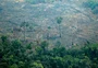 Reino Unido promete mais de R$ 50 milhões em recursos para a Amazônia