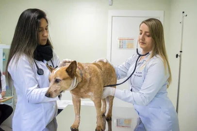 Faculdade Murialdo inaugura Centro Veterinário 