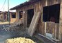 Acampamento Farroupilha: entidades intensificam trabalhos no último dia para montagem das estruturas