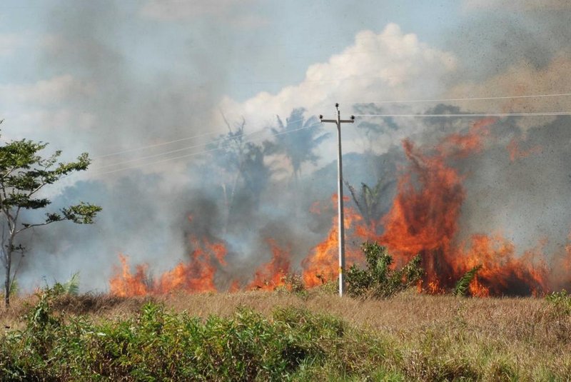  **A PEDIDO DE RAFAEL OCANA**Incêndios na Amazônia (FOTO: Esio Mendes/Fotos Públicas)