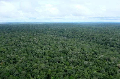de Beruri à Manacapuru de barcoMANAUS, AM, 26/08/2019Ensaio para contra capa de terça:  Série de imagens da amazônia.Cidade de BeruriÁreas ainda preservadas na Amazônia(Lucas Amorelli/Agência RBS)Editoria: POL