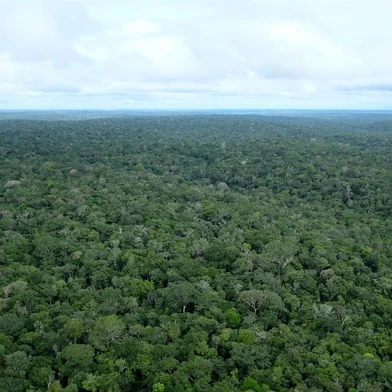 de Beruri à Manacapuru de barcoMANAUS, AM, 26/08/2019Ensaio para contra capa de terça:  Série de imagens da amazônia.Cidade de BeruriÁreas ainda preservadas na Amazônia(Lucas Amorelli/Agência RBS)Editoria: POL