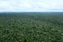 de Beruri à Manacapuru de barcoMANAUS, AM, 26/08/2019Ensaio para contra capa de terça:  Série de imagens da amazônia.Cidade de BeruriÁreas ainda preservadas na Amazônia(Lucas Amorelli/Agência RBS)Editoria: POL