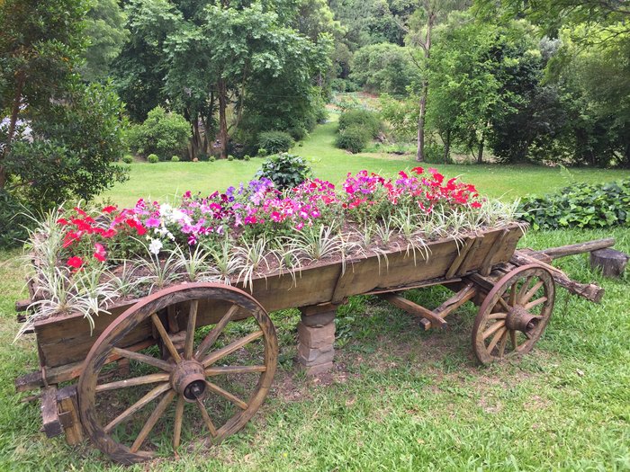 Rosane Tremea / Arquivo pessoal