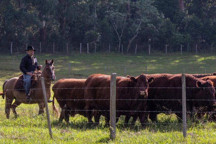 Paulo Renato Pinheiro / Bezier Filmes
